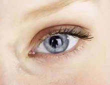 Questions fréquentes.